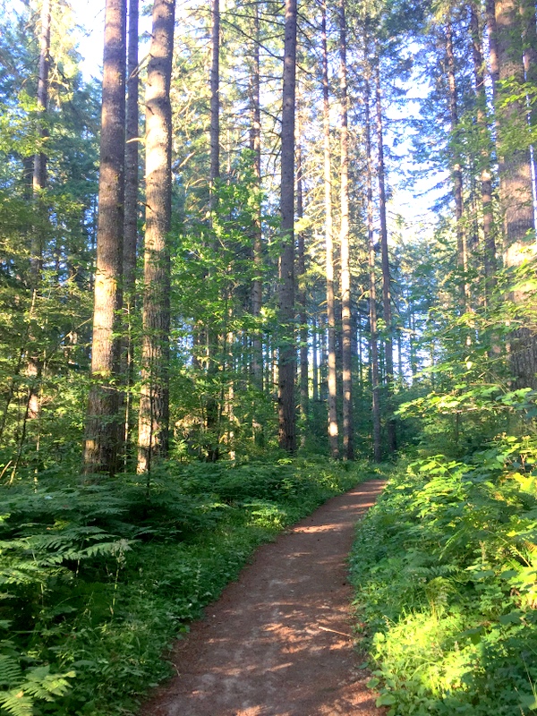 Stub Stewart State Park 