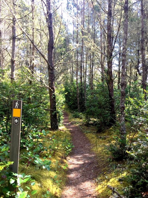 Leadbetter Point State Park