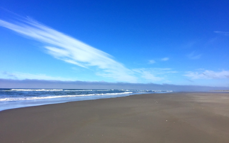 Leadbetter Point State Park