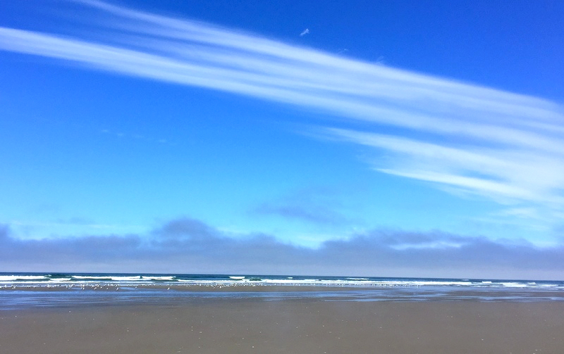 Leadbetter Point State Park