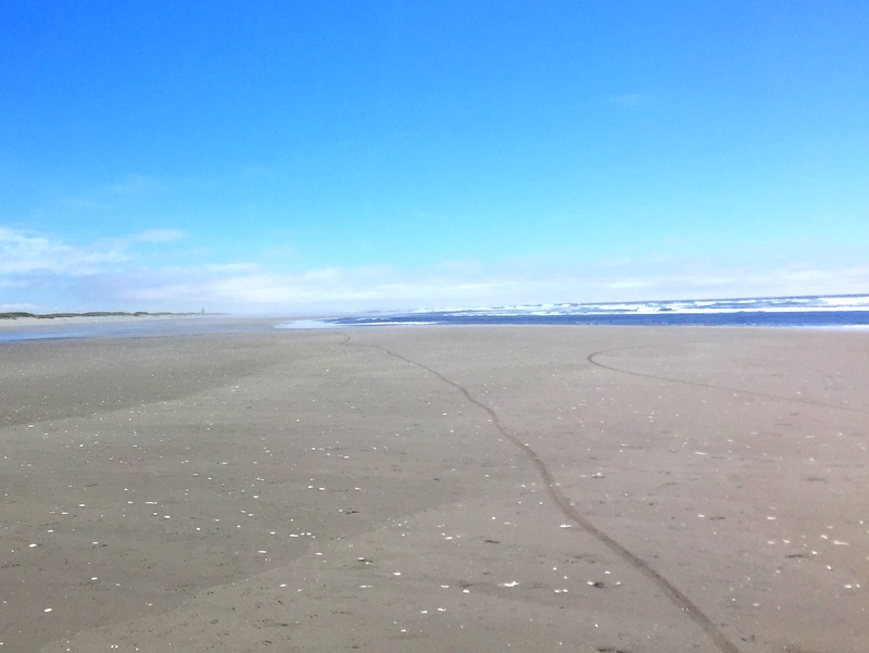 Leadbetter Point State Park