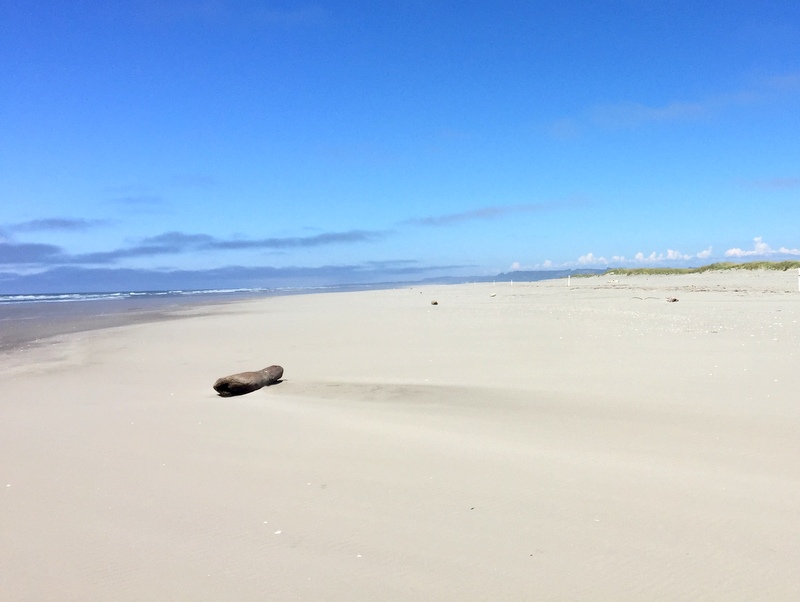 Leadbetter Point State Park