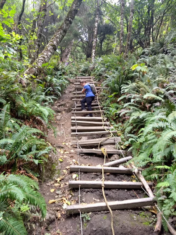 Wilderness Trail in the Olympic National Park