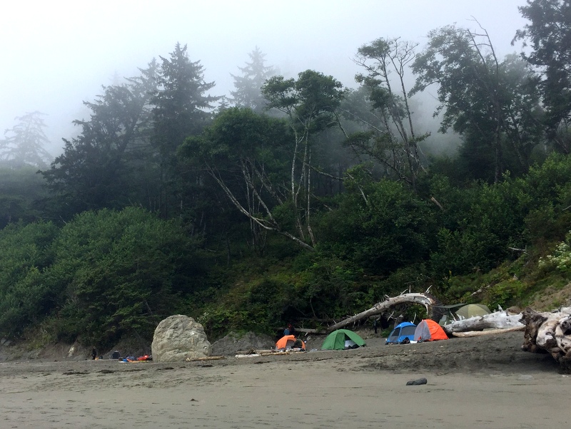 Wilderness Trail in the Olympic National Park