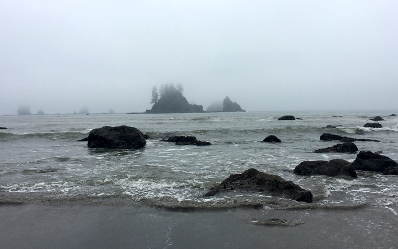 Wilderness Trail in the Olympic National Park