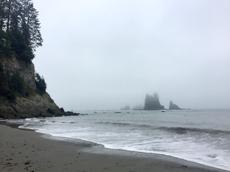 Wilderness Trail in the Olympic National Park