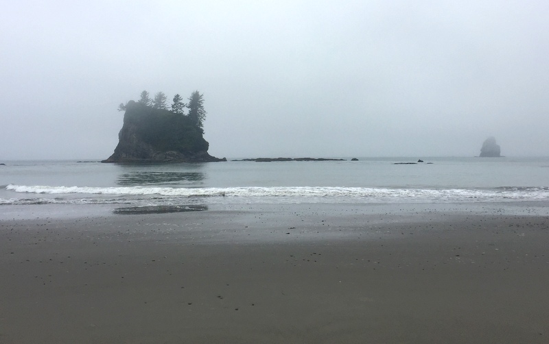 Wilderness Trail in the Olympic National Park