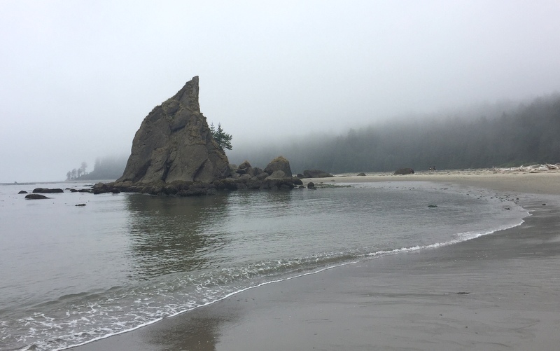 Wilderness Trail in the Olympic National Park