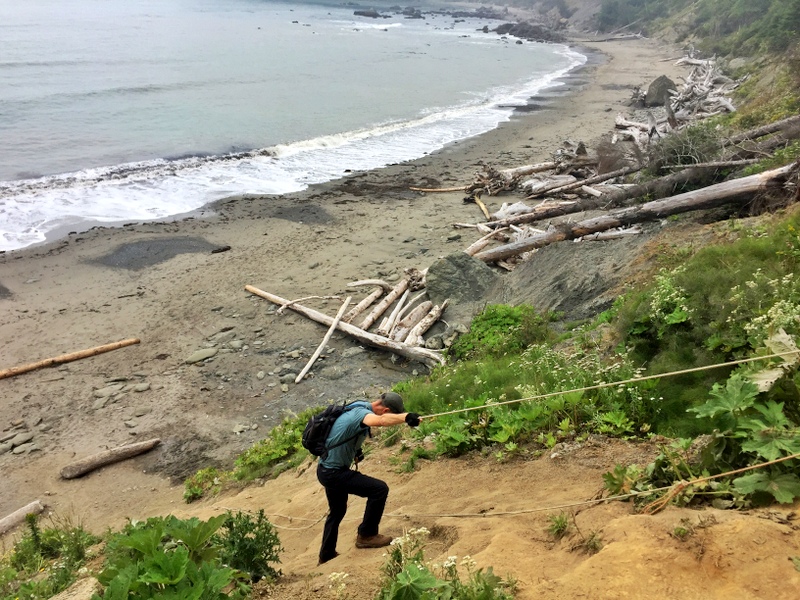 Wilderness Trail in the Olympic National Park