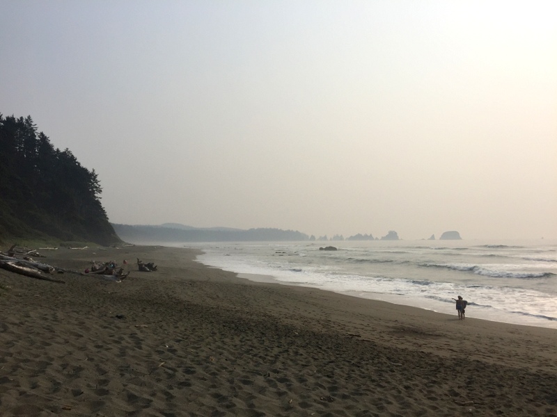 Shi Shi Beach