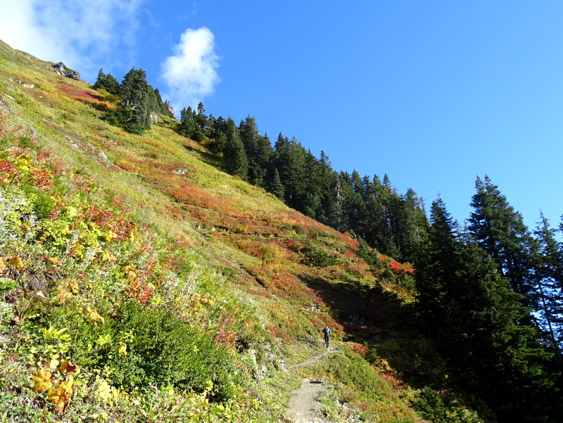 Sauk Mountain Trail