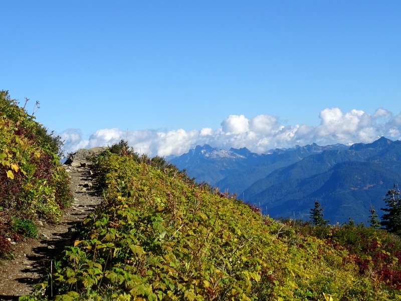 Sauk Mountain Trail