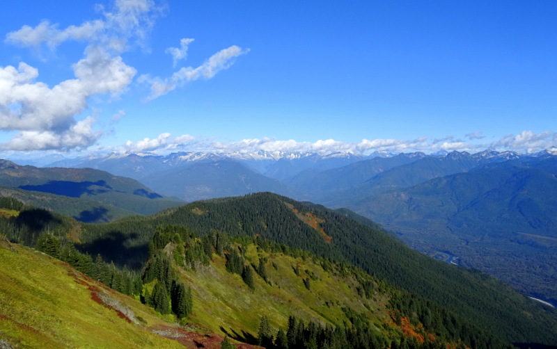 Sauk Mountain Trail