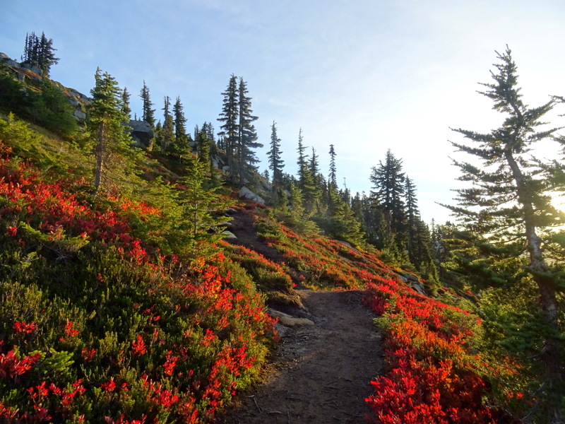 Hidden Lake Trail