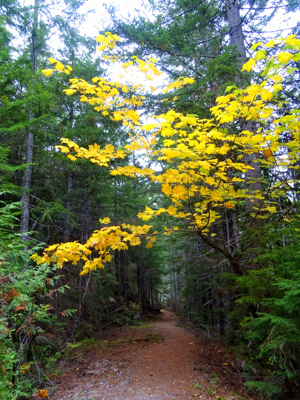 Thornton Lakes Trail