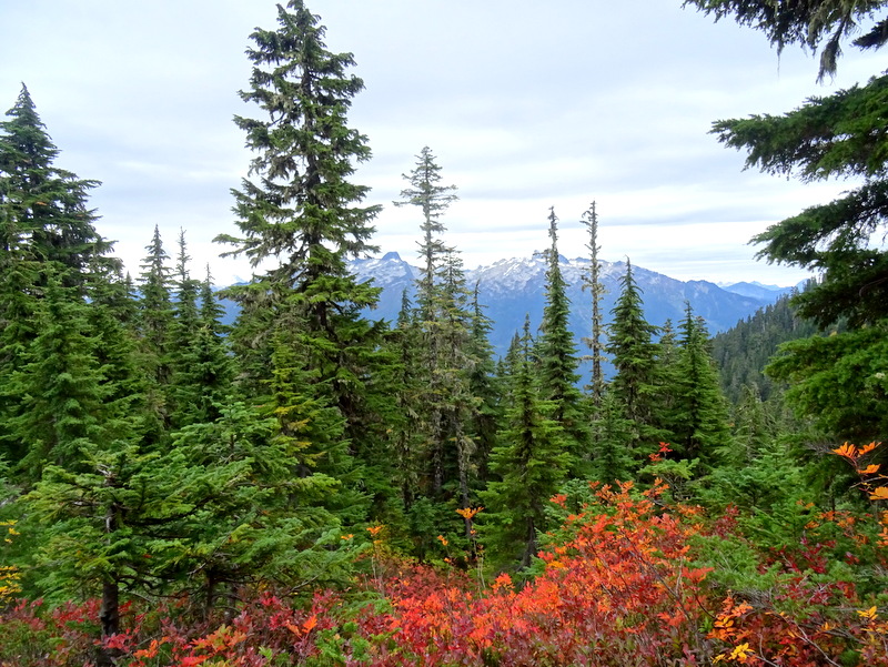 Thornton Lakes Trail