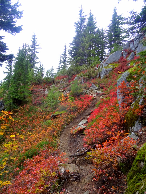 Thornton Lakes Trail