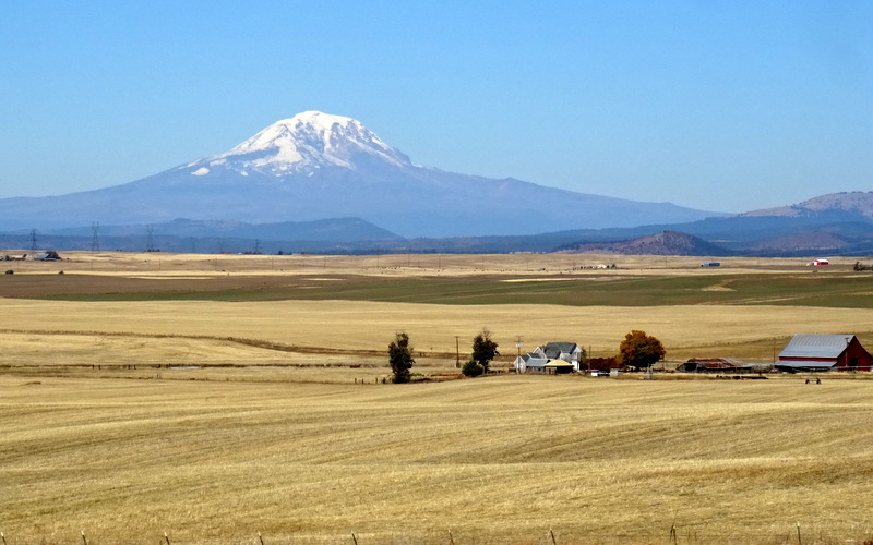 Mount Adams in Washington