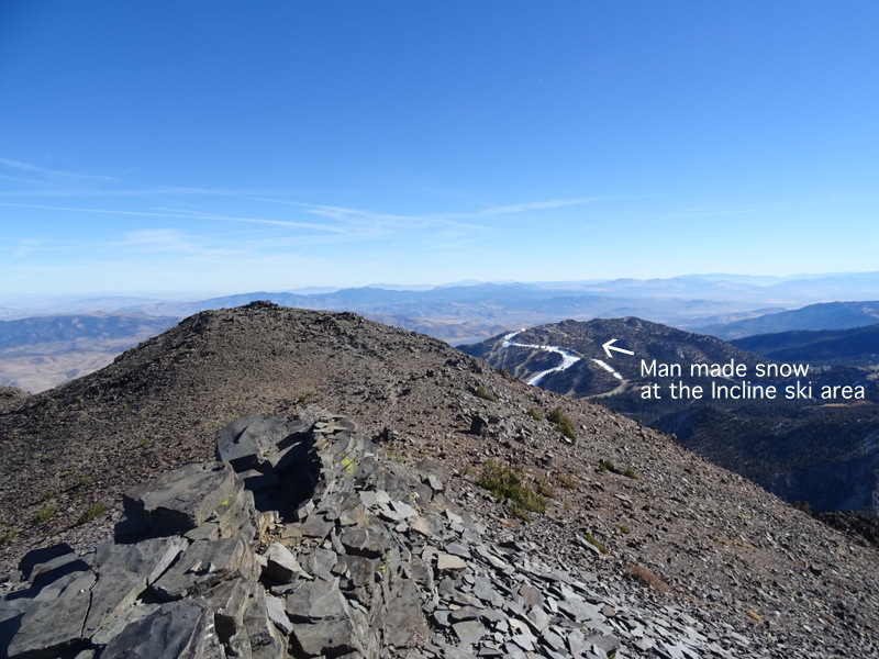 Mount Rose Summit Trail