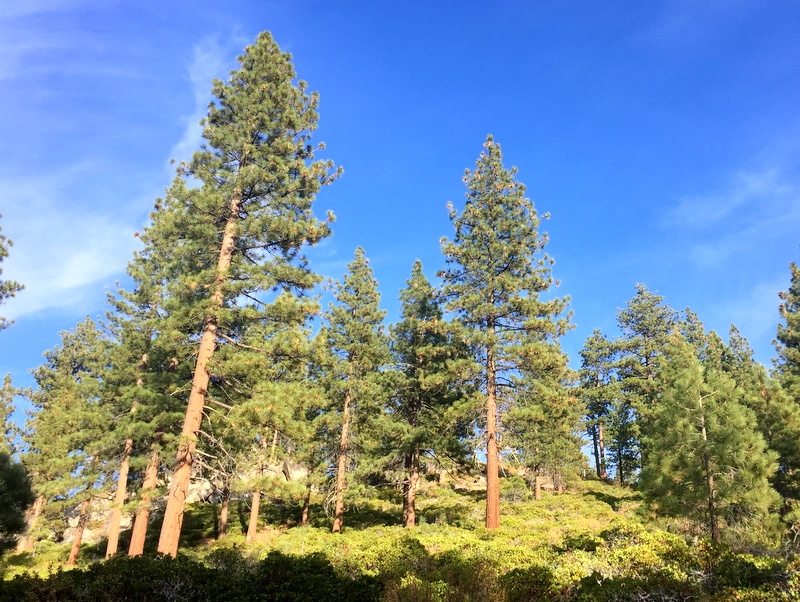 Zephyr Cove RV Park, Lake Tahoe