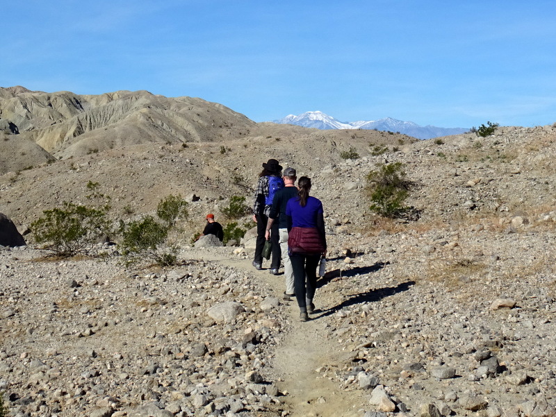 Coachella Valley Preserve