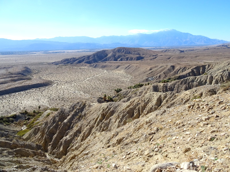 Coachella Valley Preserve