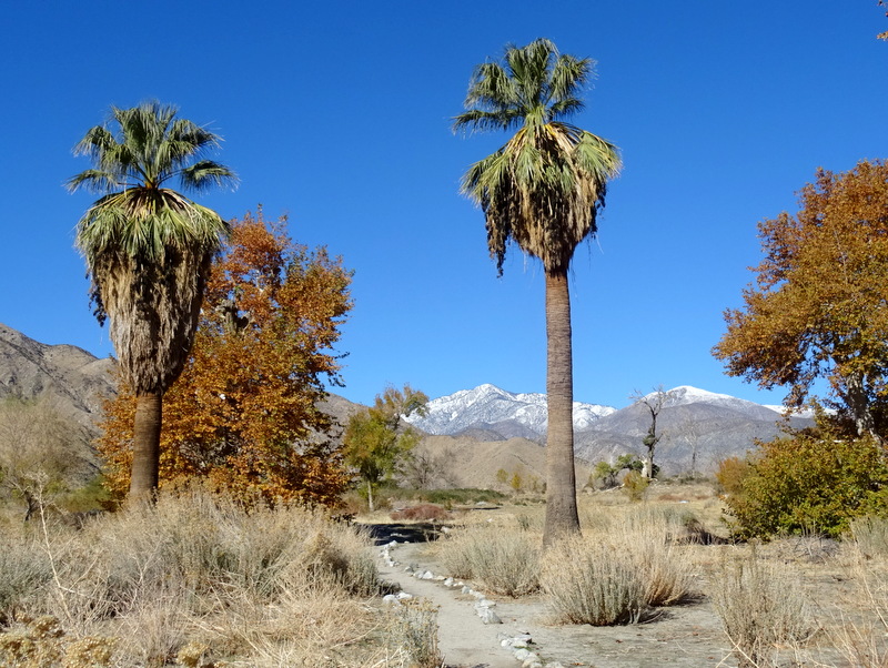 Whitewater Preserve, CA