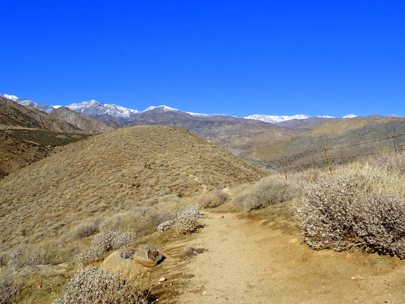 Whitewater Preserve, CA