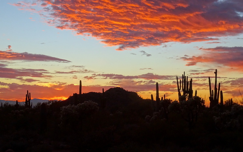 Southwest sunset at Usery Mountain Park