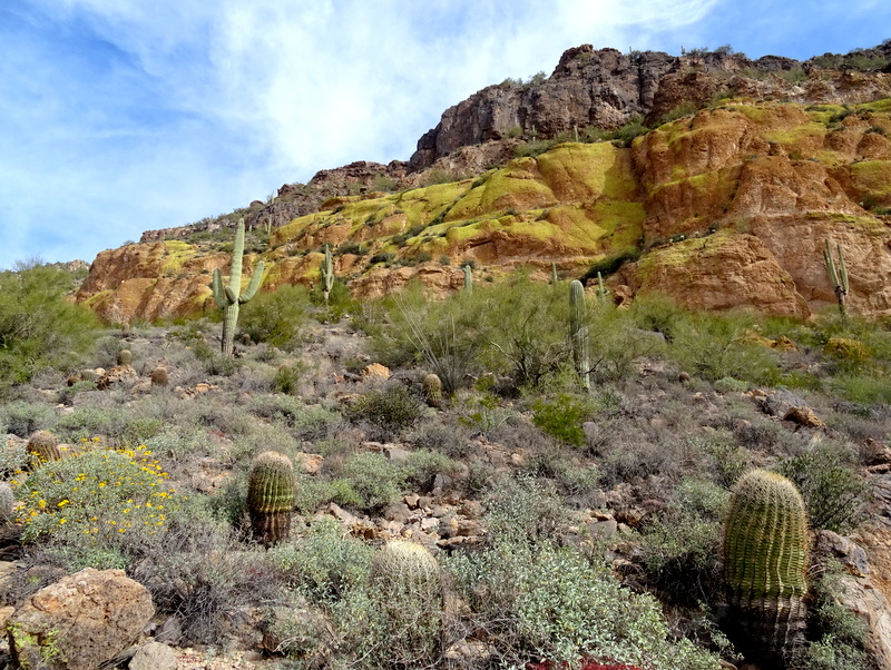 Usery Mountain Regional Park - Wind Cave Trail