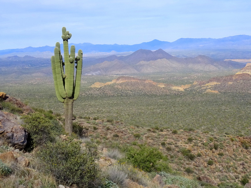 Usery Mountain Regional Park