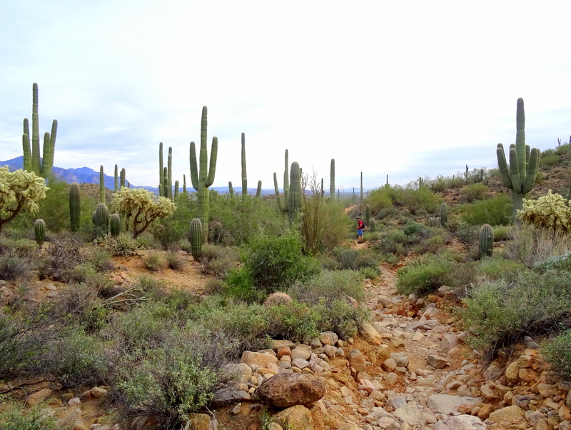 Pass Mountain Loop Trail