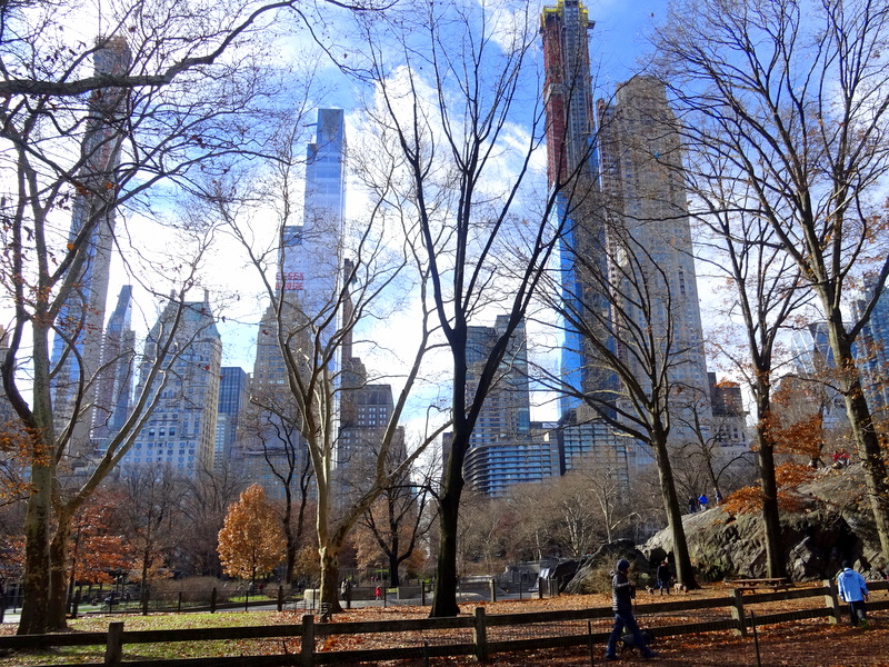 Central Park - NYC