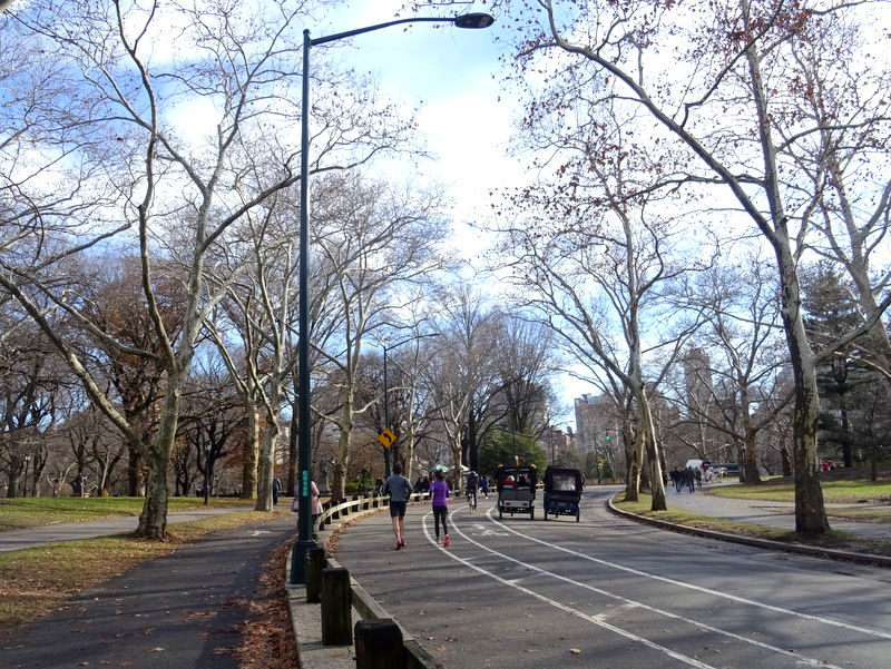 Central Park - NYC