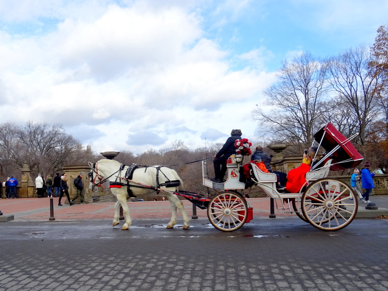 Central Park - NYC