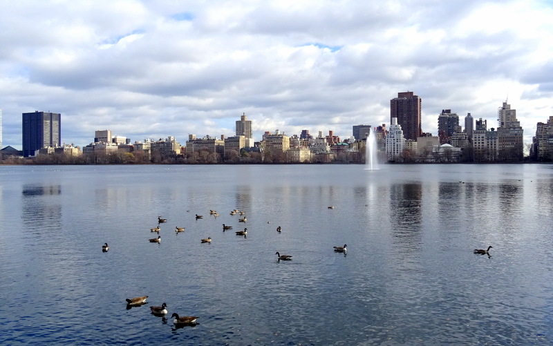 Central Park - NYC