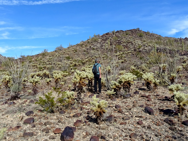 KOFA Wildlife Refuge