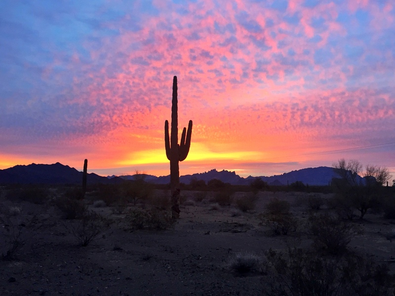 KOFA Wildlife Refuge