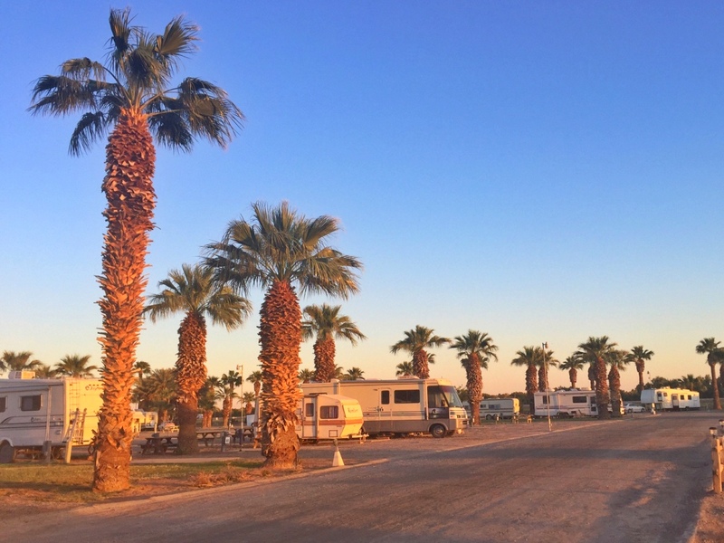 Sans End RV Park in Yuma, AZ