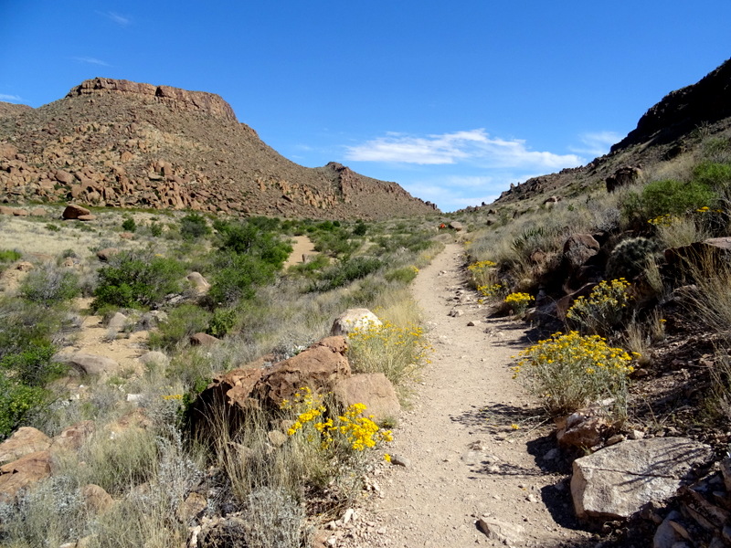 Grapevine Hills Trail in Big Bend National Park