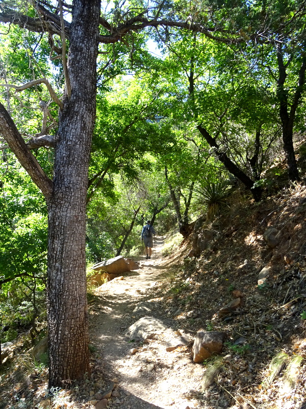 Hiking in the Chisos Mountains