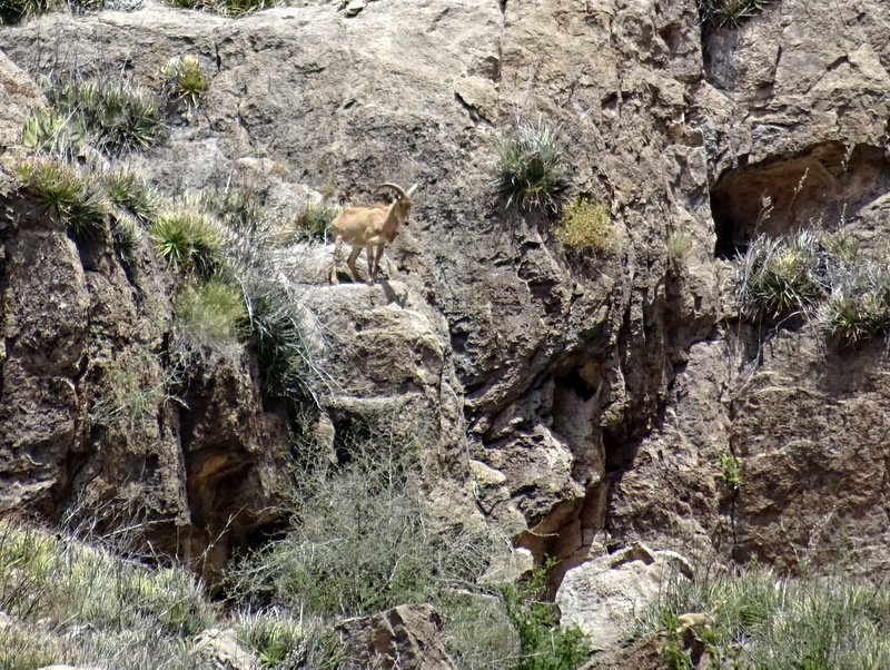 Santa Elena Canyon River Trip