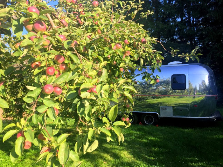 Monkton, VT All About Apples WatsonsWander
